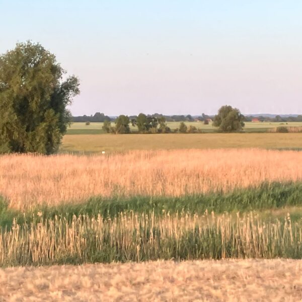 IFCV7914